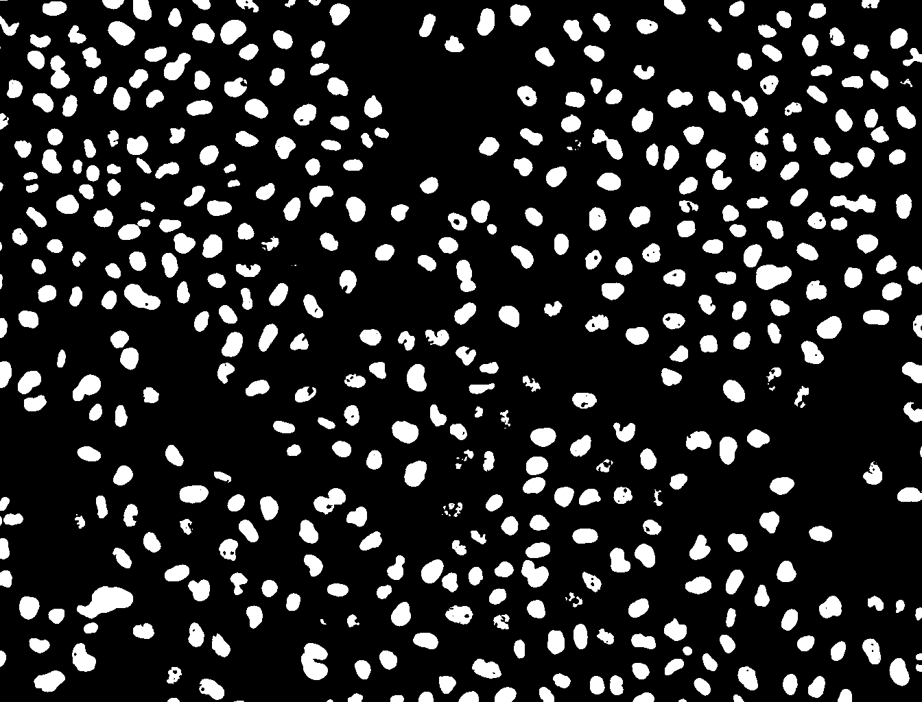 ../_images/examples_segmentation_19_0.png